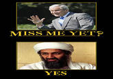 Miss Me Yet?