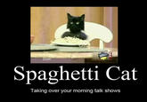 Spaghetti Cat