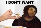 Botched Ecce Homo Painting