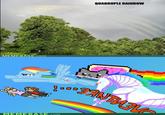 Double Rainbow