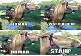 Stahp