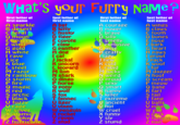Furries