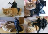 Resident Evil / Biohazard