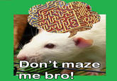 Don't Tase Me Bro!
