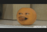 The Annoying Orange
