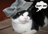 Aretha's Hat