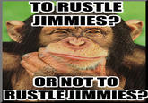 That Really Rustled My Jimmies