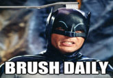 Brushie Brushie Brushie