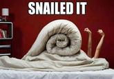 Nailed It
