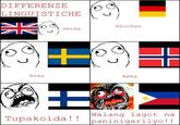 Differenze Linguistiche