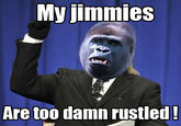 That Really Rustled My Jimmies