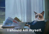 Grumpy Cat