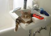 If It Fits I Sits