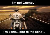 Grumpy Cat