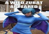 A Wild X Appears! / Wild X Appeared!