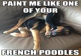 Draw Me Like One of Your French Girls