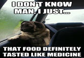 Introspective Pug