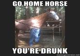 Go Home, You Are Drunk
