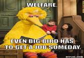 Fired Big Bird / Mitt Romney Hates Big Bird