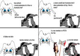 Dolan