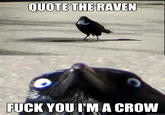 Insanity Crow
