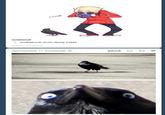 Insanity Crow