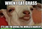 [10] Guy