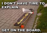 There's No Time To Explain