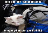 Check Your Privilege