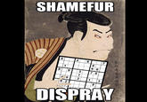 Shamefur Dispray