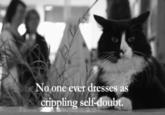 Henri, Le Chat Noir
