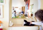 Henri, Le Chat Noir
