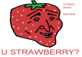 Maymays/Misused memes