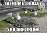 Go Home, You Are Drunk