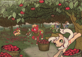My Little Pony: Friendship is Magic