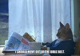 I Should Buy a Boat Cat
