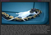 Social Justice Blogging