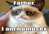 Grumpy Cat