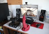 Dragon Dildos