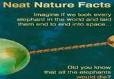 Did You Know?