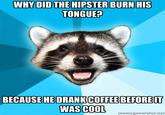 Lame Pun Coon