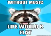 Lame Pun Coon