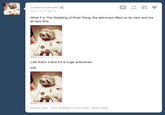 Astronaut Sloth