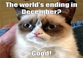 Grumpy Cat