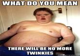 Hostess Bankruptcy / No More Twinkies