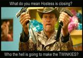 Hostess Bankruptcy / No More Twinkies