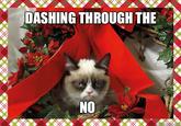Grumpy Cat