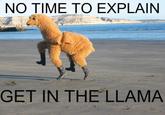 There's No Time To Explain