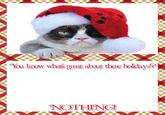 Grumpy Cat