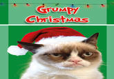 Grumpy Cat